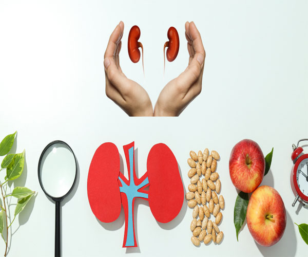 پیشگیری از سنگ کلیه