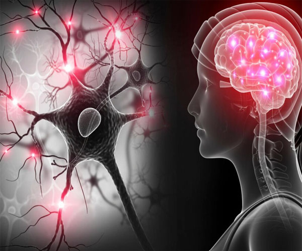 شایع بودن بیماری مغزی